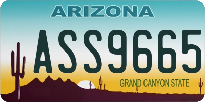 AZ license plate ASS9665