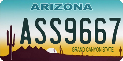 AZ license plate ASS9667
