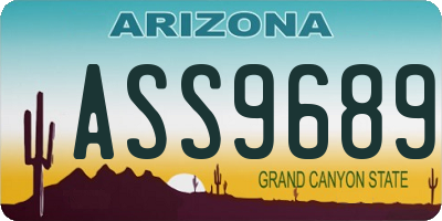 AZ license plate ASS9689