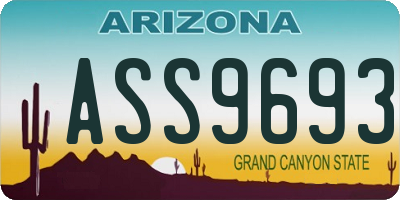 AZ license plate ASS9693