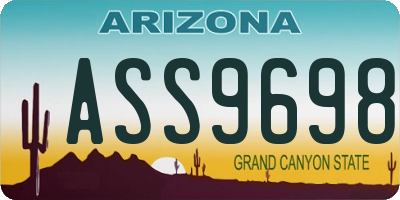 AZ license plate ASS9698