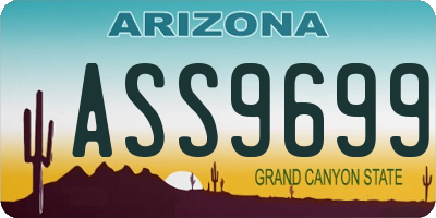 AZ license plate ASS9699