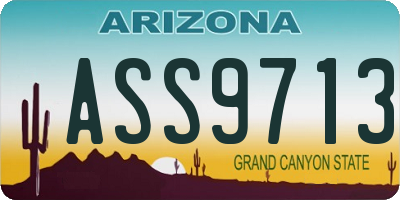 AZ license plate ASS9713