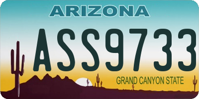 AZ license plate ASS9733