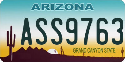 AZ license plate ASS9763