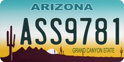 AZ license plate ASS9781
