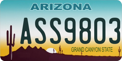 AZ license plate ASS9803