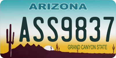 AZ license plate ASS9837