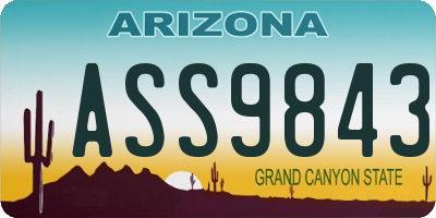 AZ license plate ASS9843