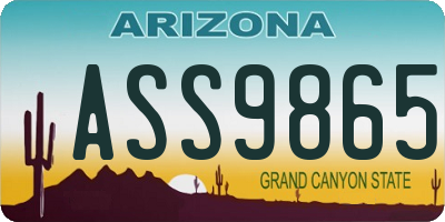 AZ license plate ASS9865