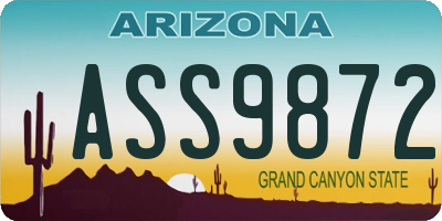 AZ license plate ASS9872