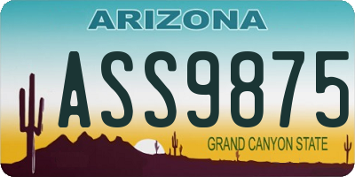 AZ license plate ASS9875