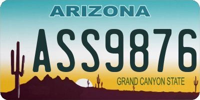 AZ license plate ASS9876