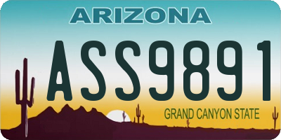 AZ license plate ASS9891