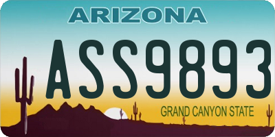 AZ license plate ASS9893
