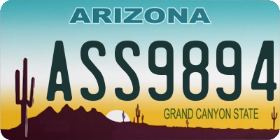 AZ license plate ASS9894