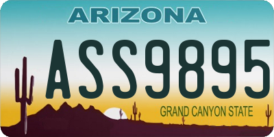 AZ license plate ASS9895