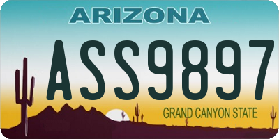 AZ license plate ASS9897