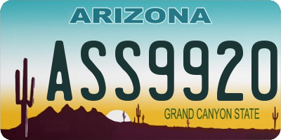 AZ license plate ASS9920