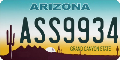 AZ license plate ASS9934