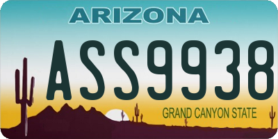 AZ license plate ASS9938
