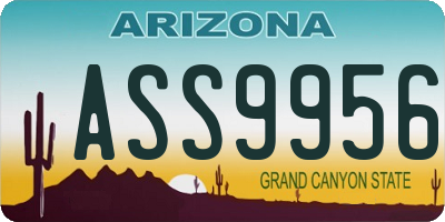 AZ license plate ASS9956