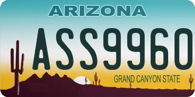 AZ license plate ASS9960