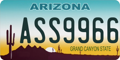 AZ license plate ASS9966