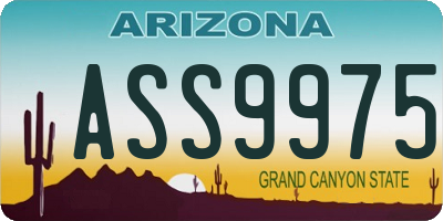 AZ license plate ASS9975