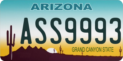 AZ license plate ASS9993