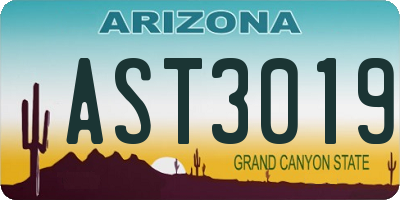 AZ license plate AST3019