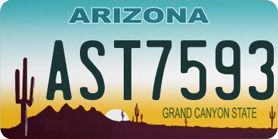 AZ license plate AST7593