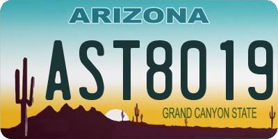 AZ license plate AST8019