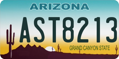 AZ license plate AST8213
