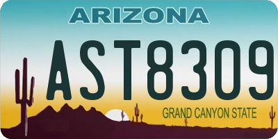 AZ license plate AST8309