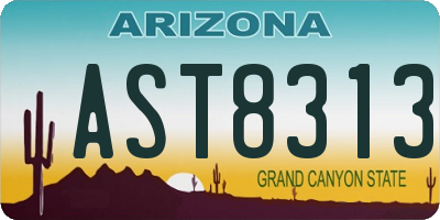 AZ license plate AST8313