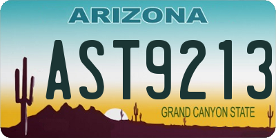 AZ license plate AST9213