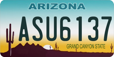 AZ license plate ASU6137