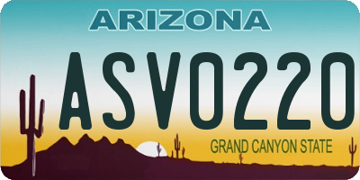 AZ license plate ASV0220