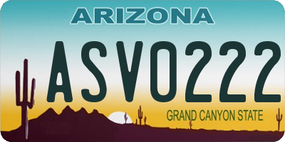 AZ license plate ASV0222