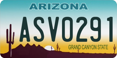 AZ license plate ASV0291