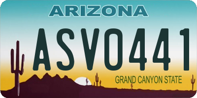 AZ license plate ASV0441