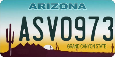 AZ license plate ASV0973