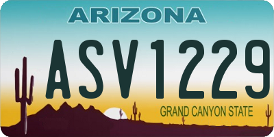 AZ license plate ASV1229