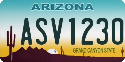 AZ license plate ASV1230