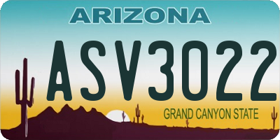 AZ license plate ASV3022