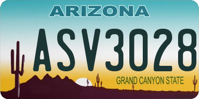 AZ license plate ASV3028