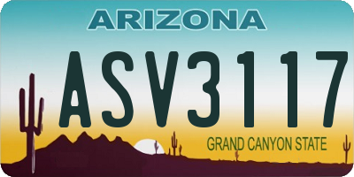 AZ license plate ASV3117