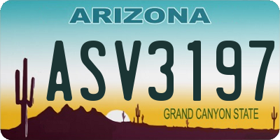 AZ license plate ASV3197