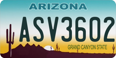 AZ license plate ASV3602